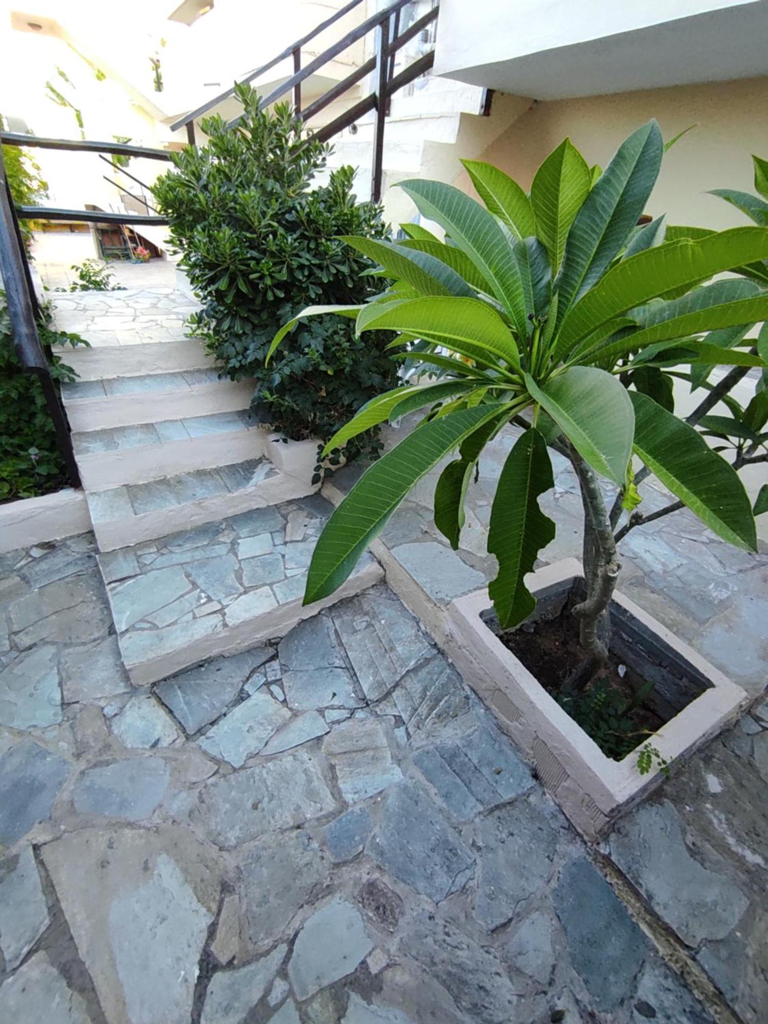 Dedalos N3 Sea View Apartment-30 Metres From The Beach สตาลิดา ภายนอก รูปภาพ