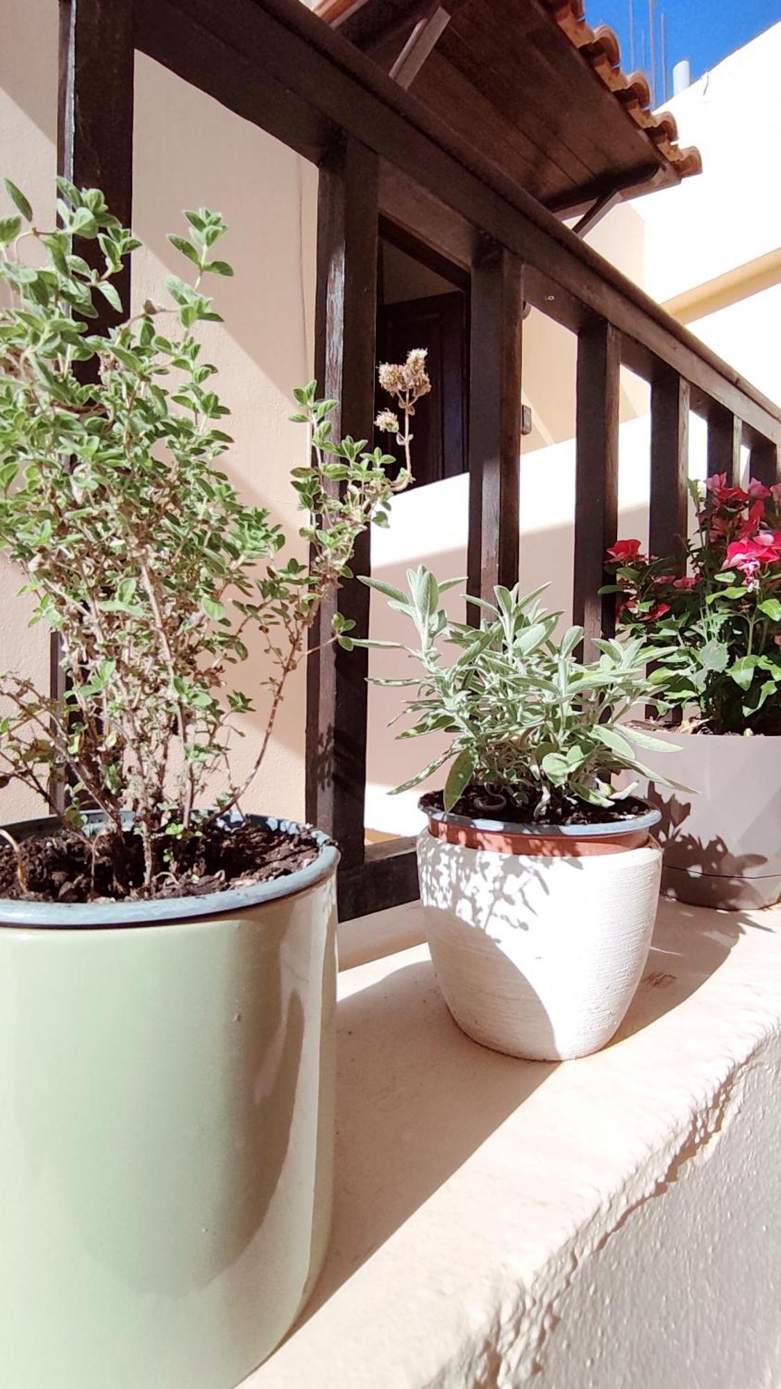 Dedalos N3 Sea View Apartment-30 Metres From The Beach สตาลิดา ภายนอก รูปภาพ